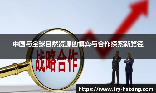 中国与全球自然资源的博弈与合作探索新路径